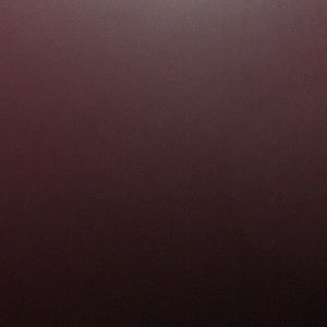 Meet your Posher, Lee